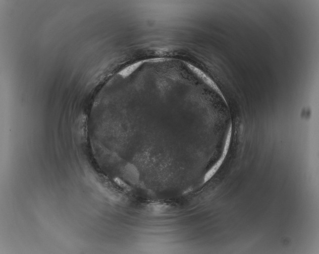 X0000112420650200909041413