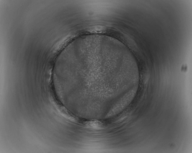 X0000112420652200909041413