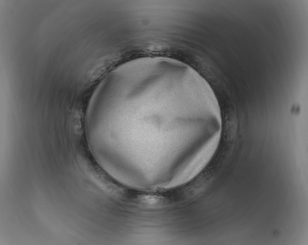 X0000112420654200909041413