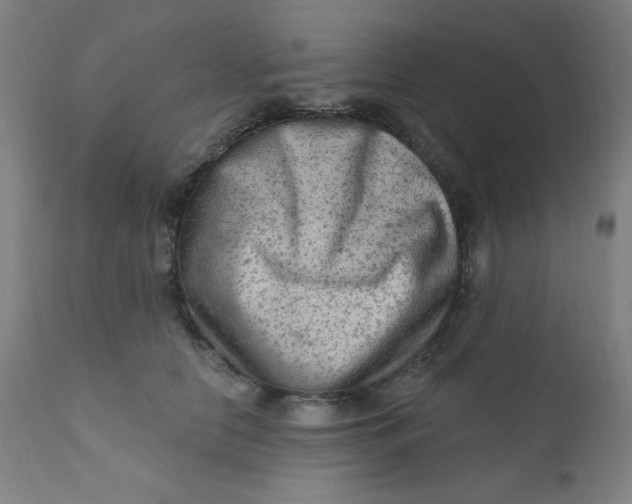 X0000112420658200909041413