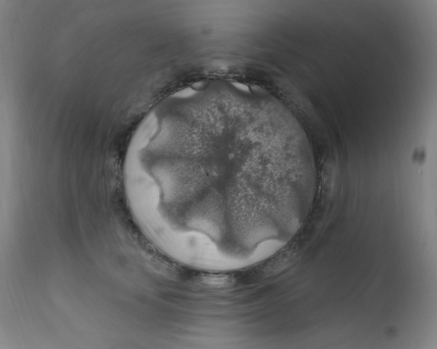 X0000112420659200909041413