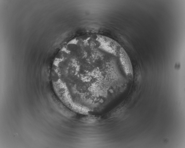 X0000112420661200909041413