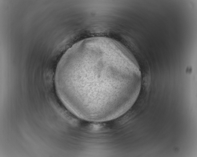 X0000112420662200909041413