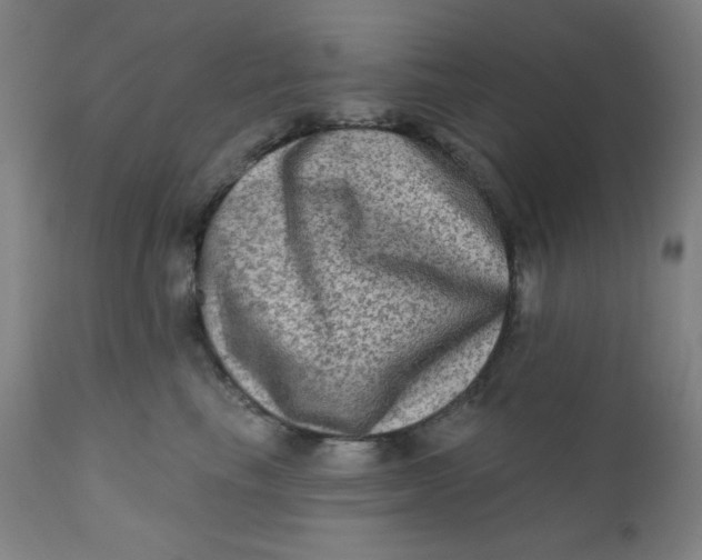 X0000112420665200909041413