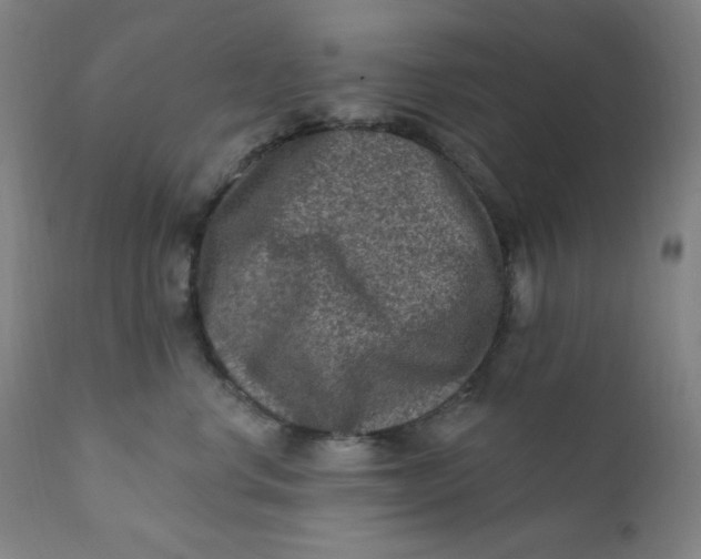 X0000112420668200909041413