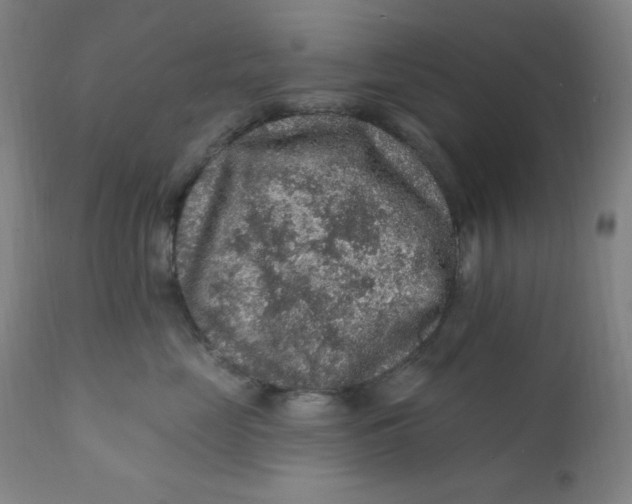 X0000112420669200909041413