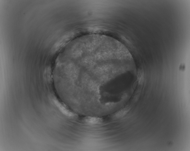 X0000112420670200909041413