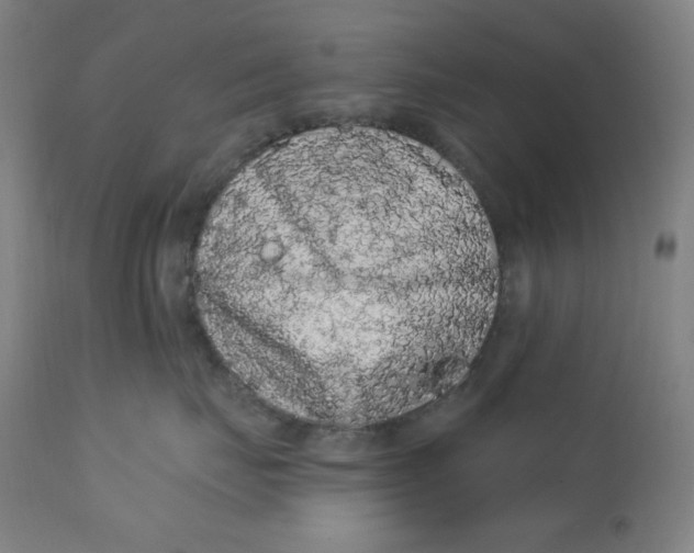 X0000112420671200909041413