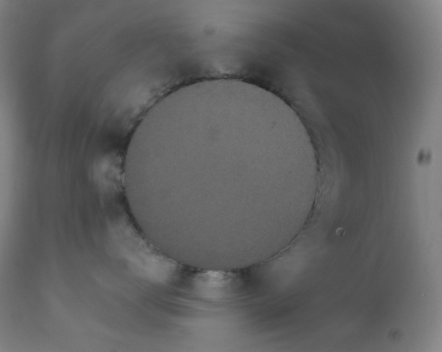 X0000112420672200909041413