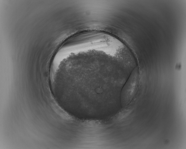 X0000112420673200909041413