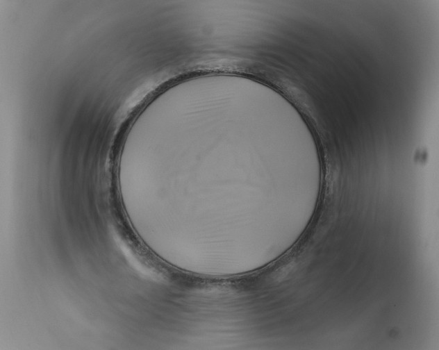 X0000112420674200909041413