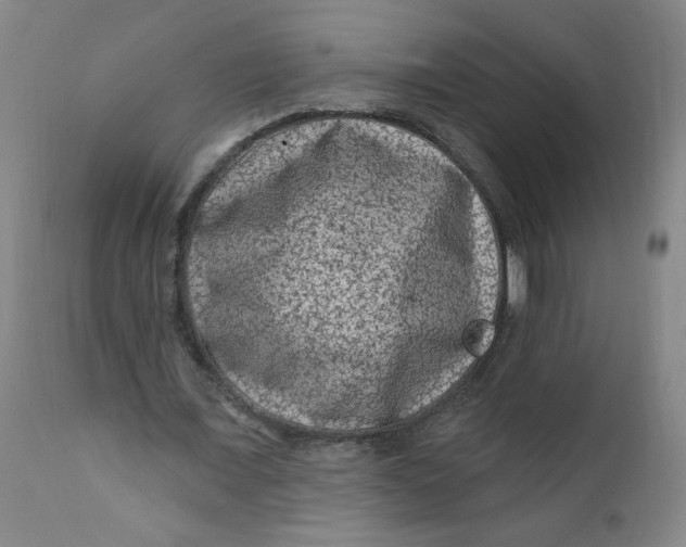 X0000112420675200909041413