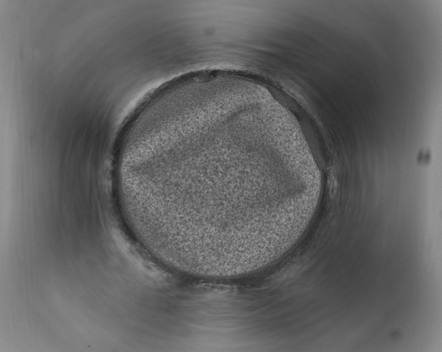 X0000112420676200909041413