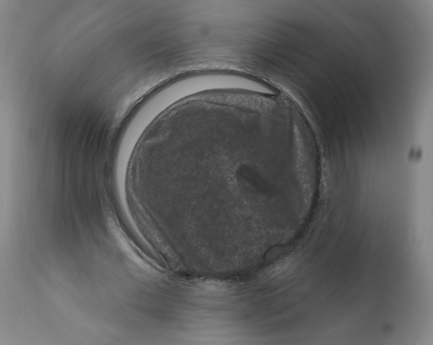 X0000112420677200909041413