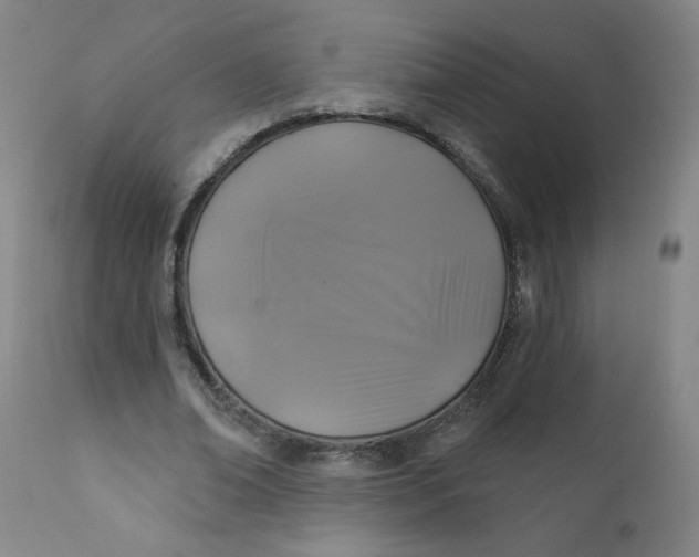 X0000112420678200909041412