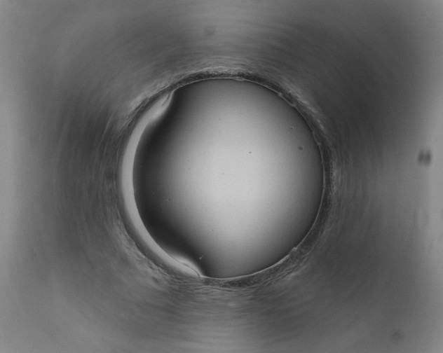 X0000112420681200909041412