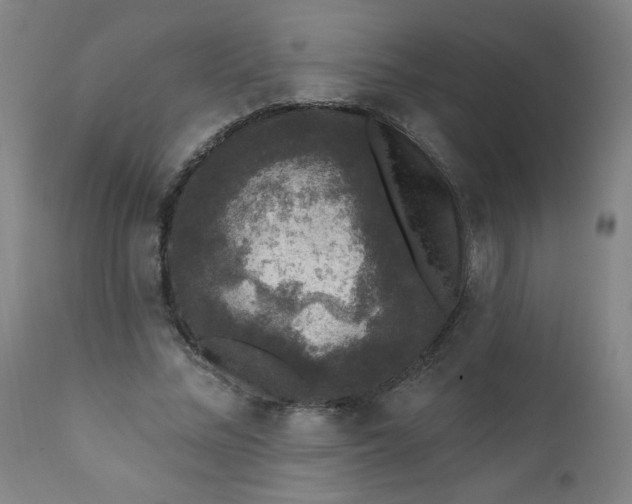 X0000112420684200909041412