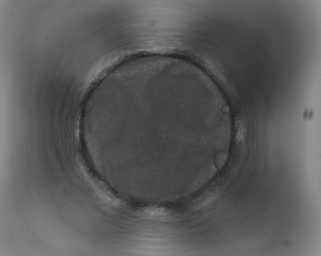 X0000112420685200909041412