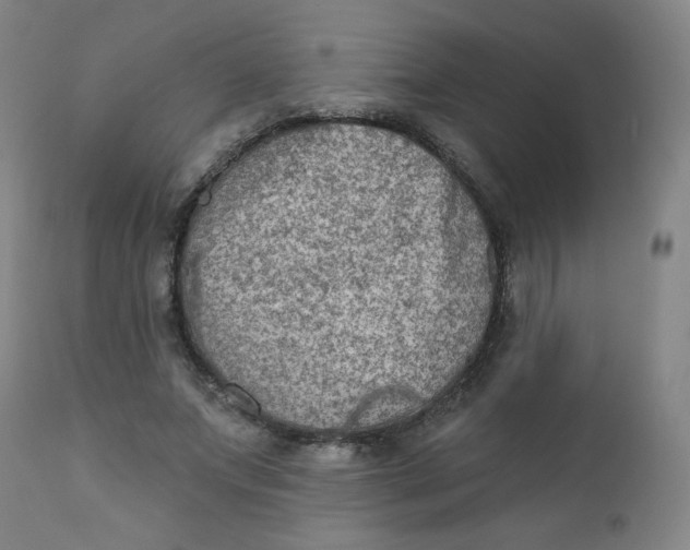 X0000112420687200909041412