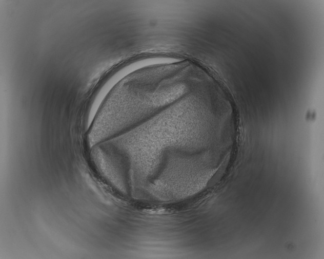 X0000112420688200909041412