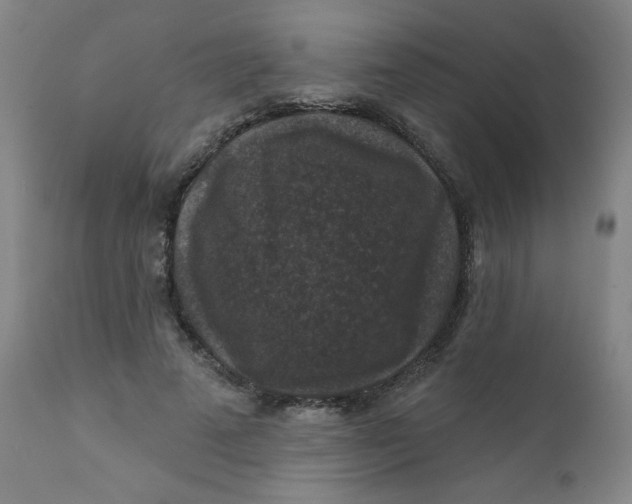 X0000112420689200909041412