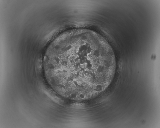 X0000112420691200909041412