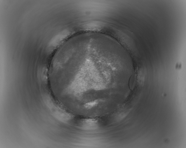 X0000112420692200909041412