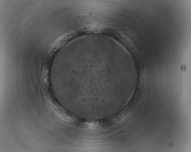 X0000112420693200909041412