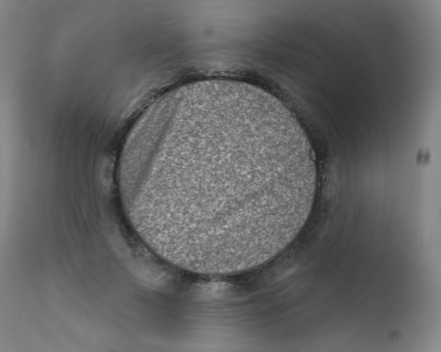 X0000112420695200909041412