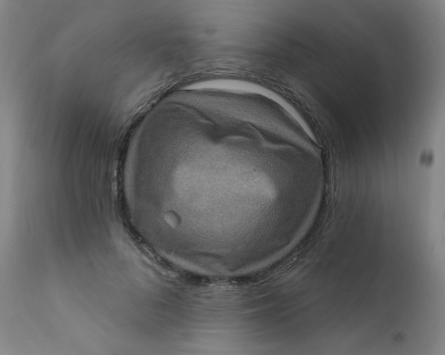 X0000112420696200909041412