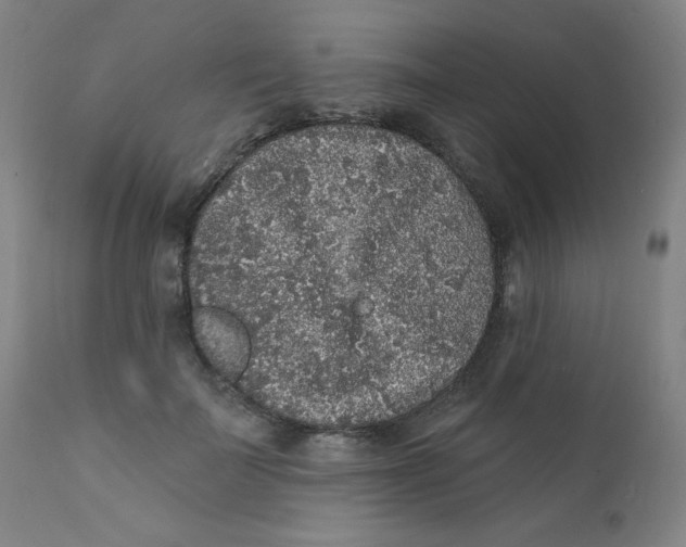 X0000112420699200909041412