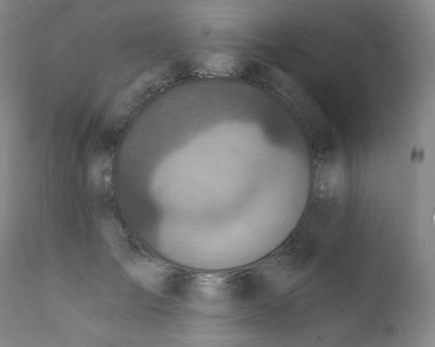 X0000112420701200909041412