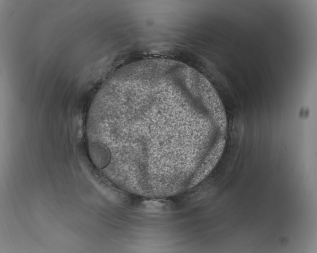 X0000112420703200909041412