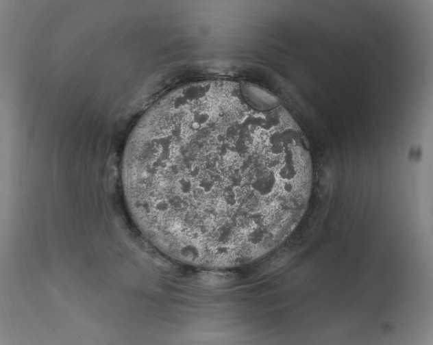 X0000112420707200909041412