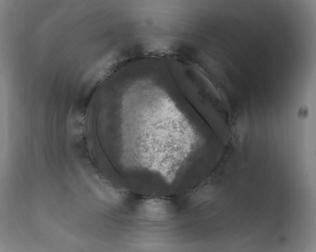 X0000112420708200909041412