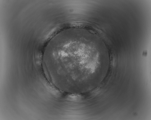 X0000112420712200909041412