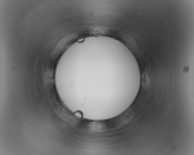 X0000112420714200909041412