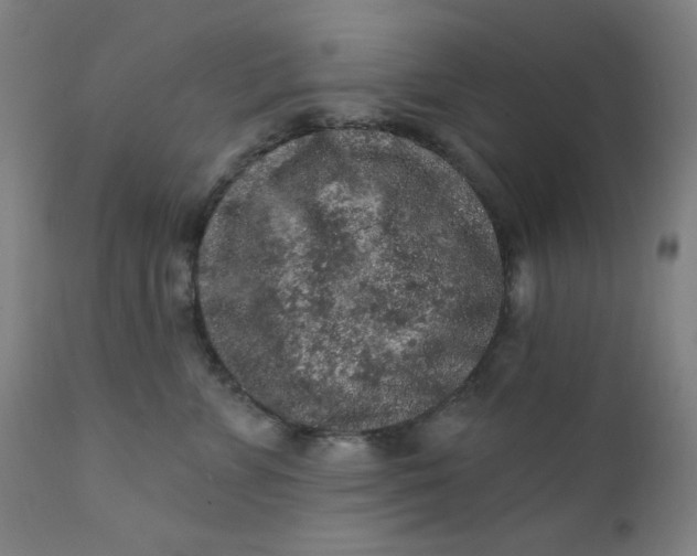 X0000112420715200909041412