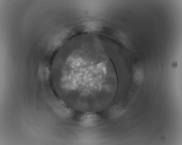 X0000112420716200909041412