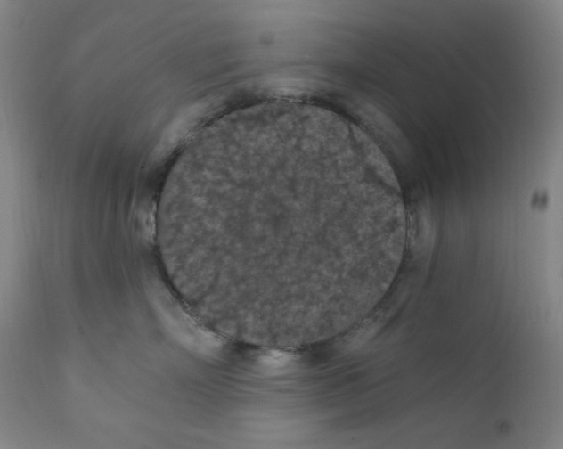 X0000112420718200909041412