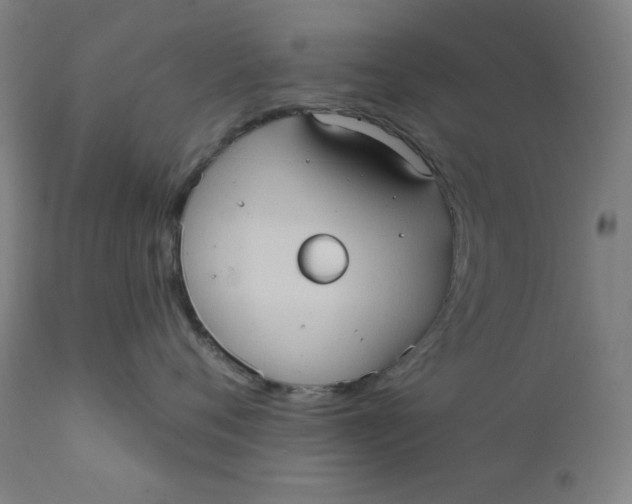 X0000112420720200909041412