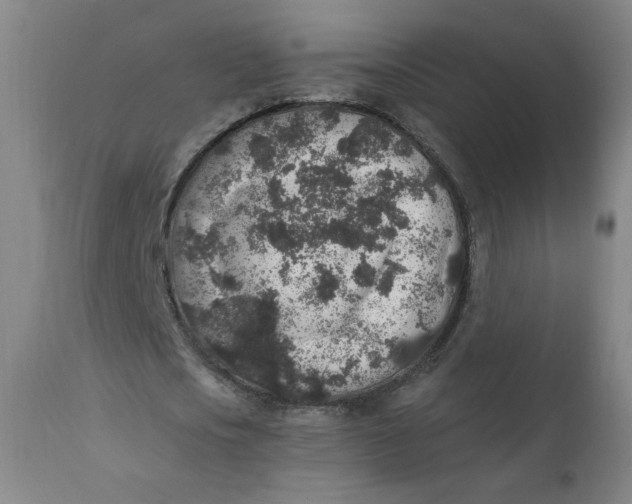 X0000112420721200909041411