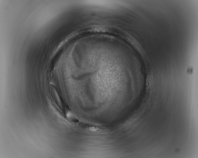 X0000112420722200909041411