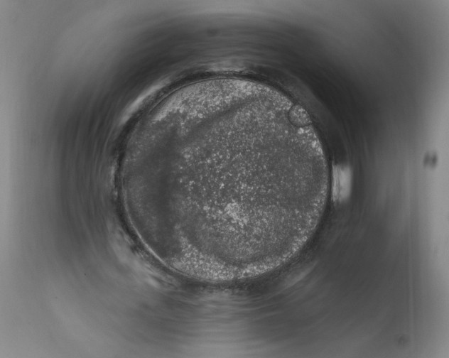 X0000112420723200909041411