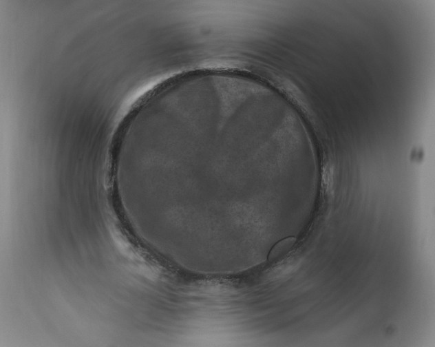 X0000112420724200909041411