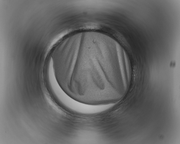 X0000112420726200909041411