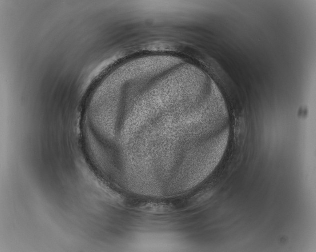 X0000112420727200909041411