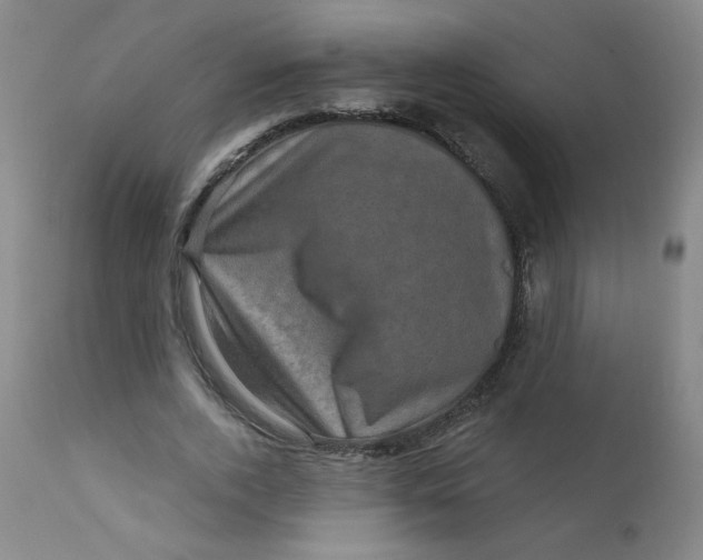 X0000112420728200909041411