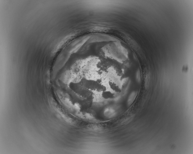 X0000112420729200909041411