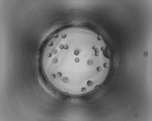 X0000112420730200909041411